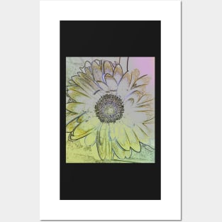 Gerbera Posters and Art